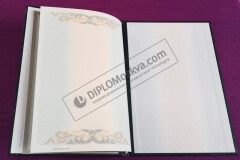diplom_spezialista_2003_2