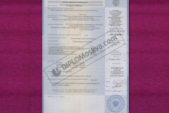 diplom_spezialista_2010_zapolnenie