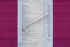 diplom_spezialista_2010_zapolnenie_3