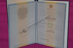 diplom_spezialista_2010_2