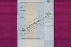diplom_spezialista_2010_3