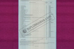 diplom_spezialista_2012_zapolneniejpg_2