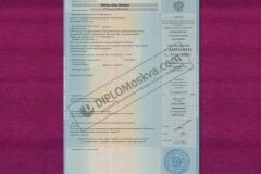 diplom_spezialista_2012_zapolneniejpg_3