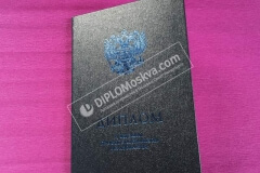 diplom_spezialista_2014_2