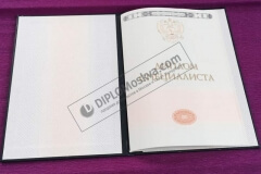 diplom_spezialista_2014_3